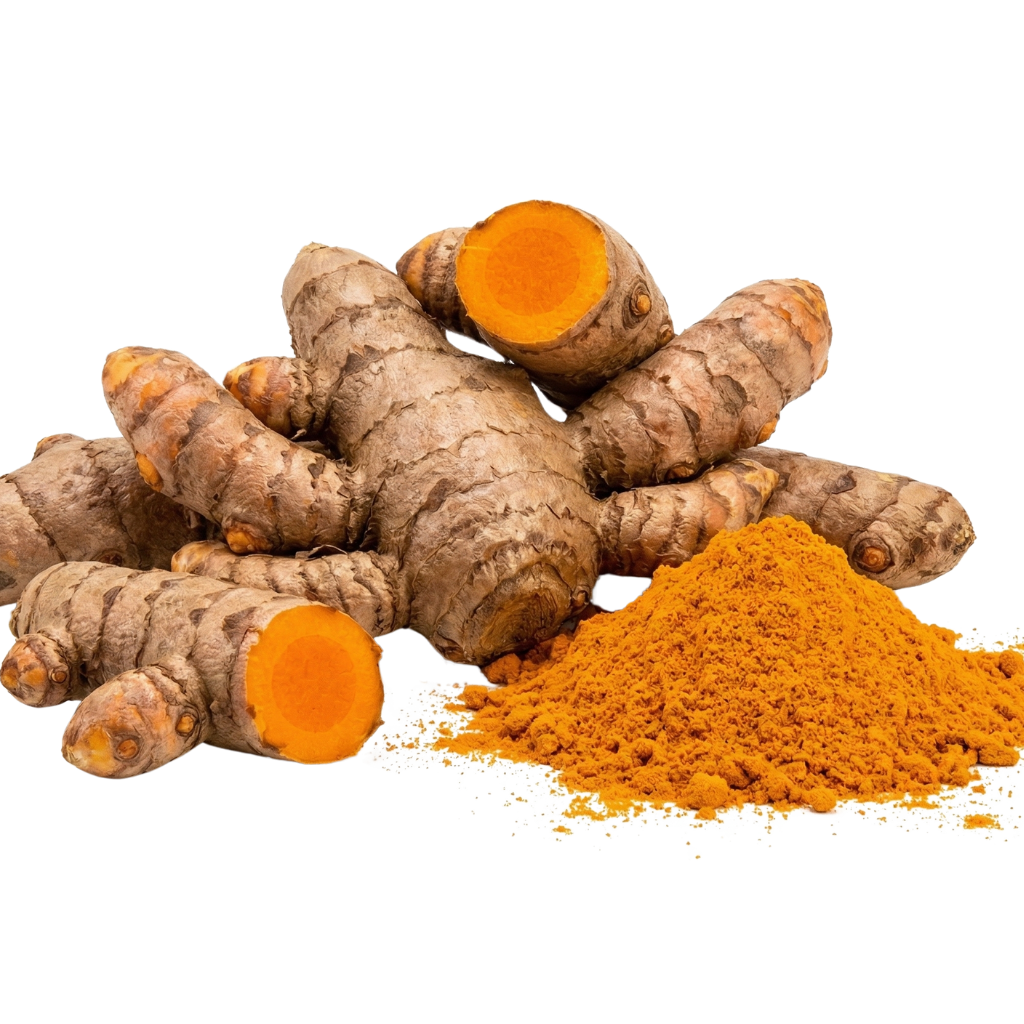 fresh turmeric root and powder with anti-inflammatory health benefits