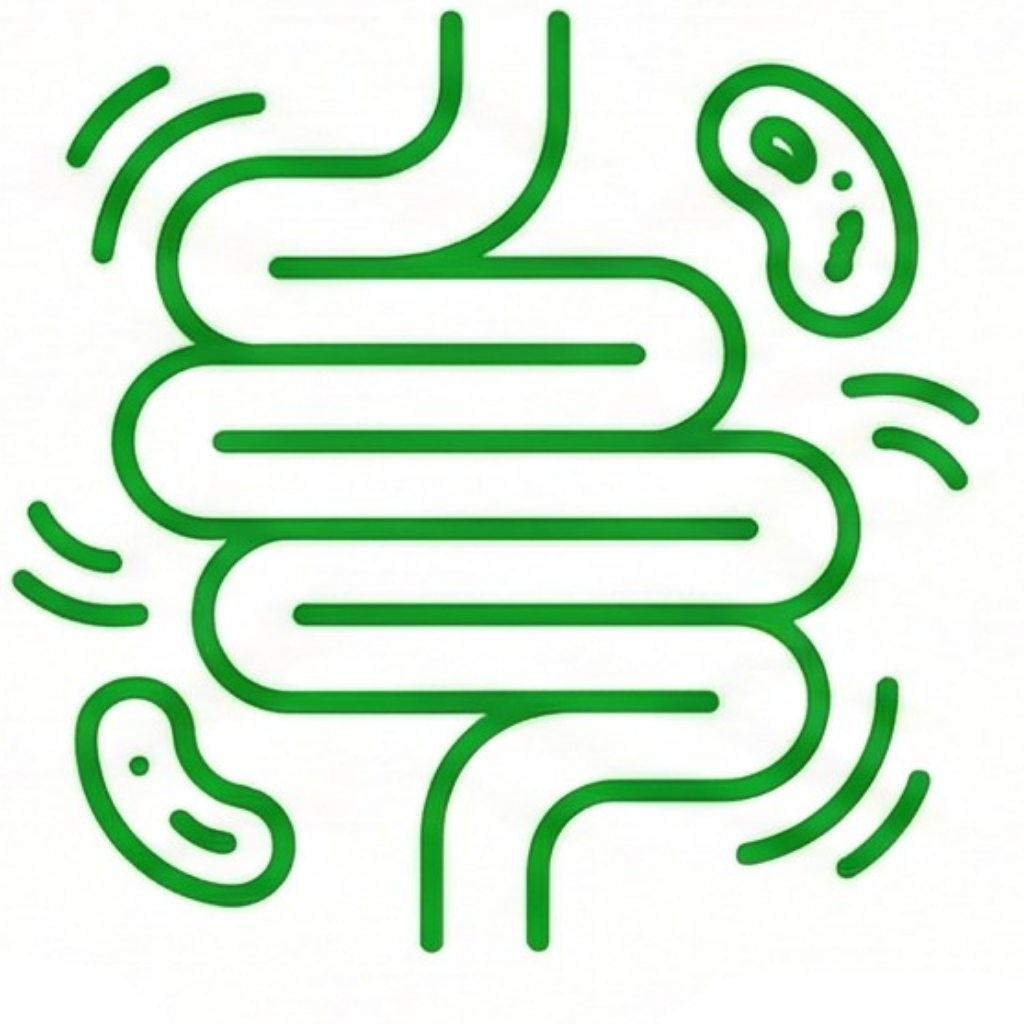 gut health icono